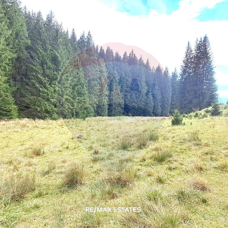 Teren Poiana Brasov / Strada Valea Sticlariei 500 mp