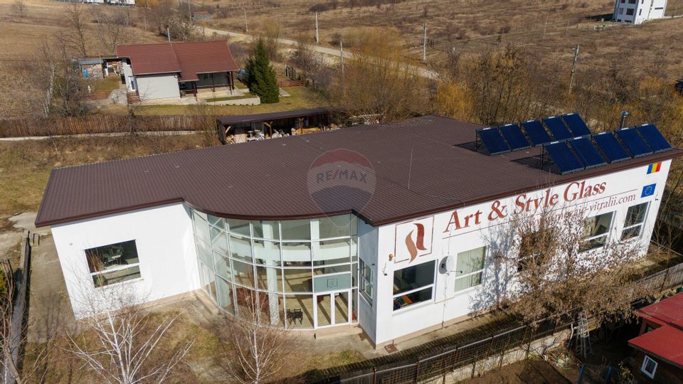 Spațiu / Hală de Vânzare de 497mp, 3400 mp Teren în Aroneanu - Iași