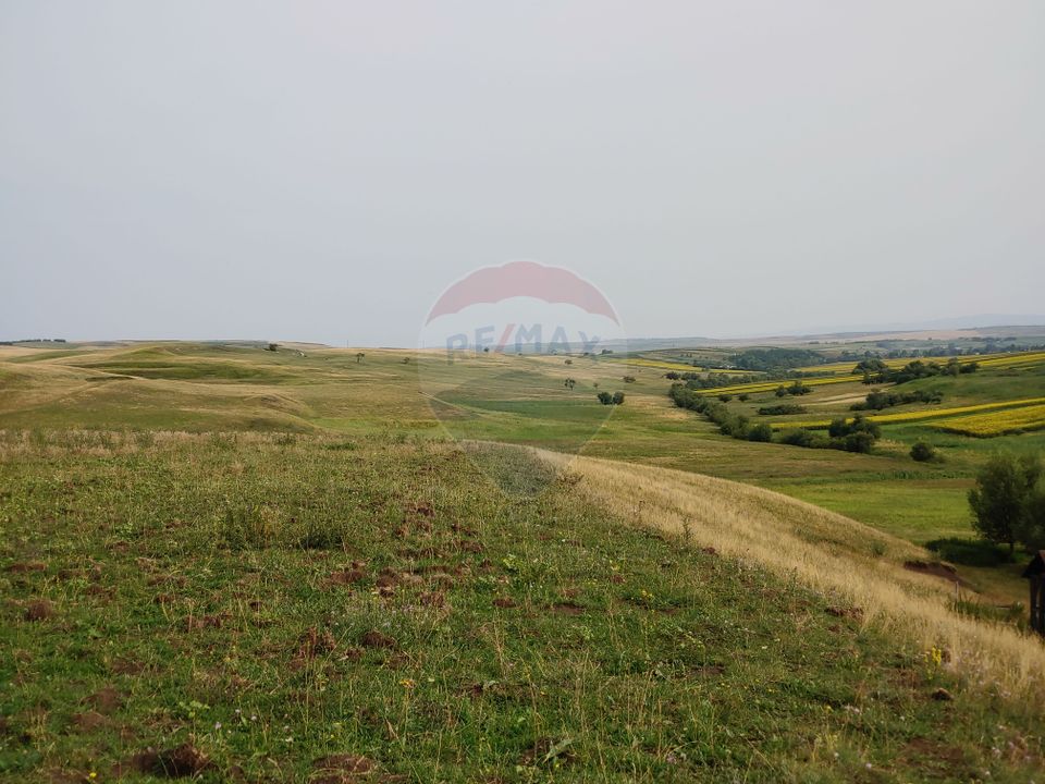 Teren parțial intravilan-300000mp Stroiești-Trei Movile, Suceava