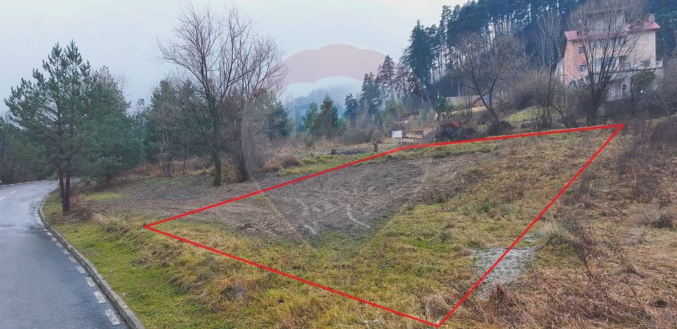 Land 500sqm Sacele / Strada Livezii