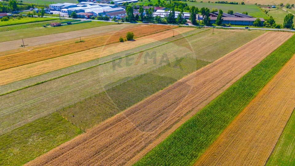 Land 7,000sqm Teliu / DJ 103B