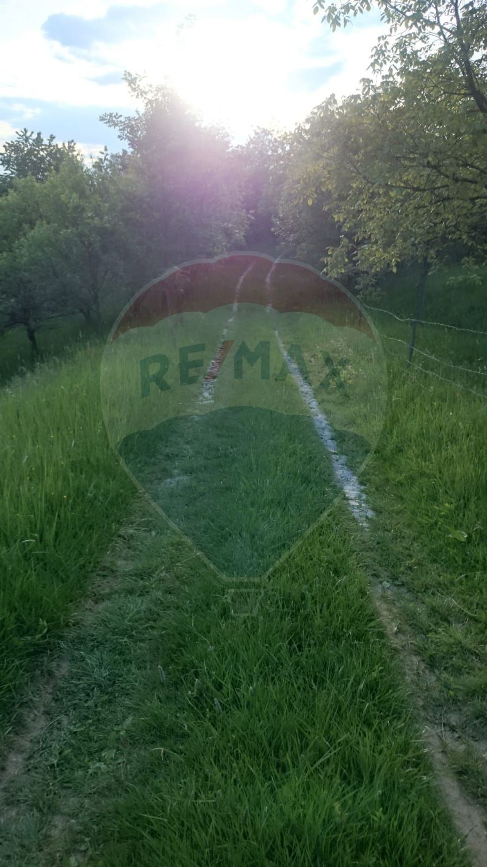 LOCATIE DEOSEBITA - Miron Costin