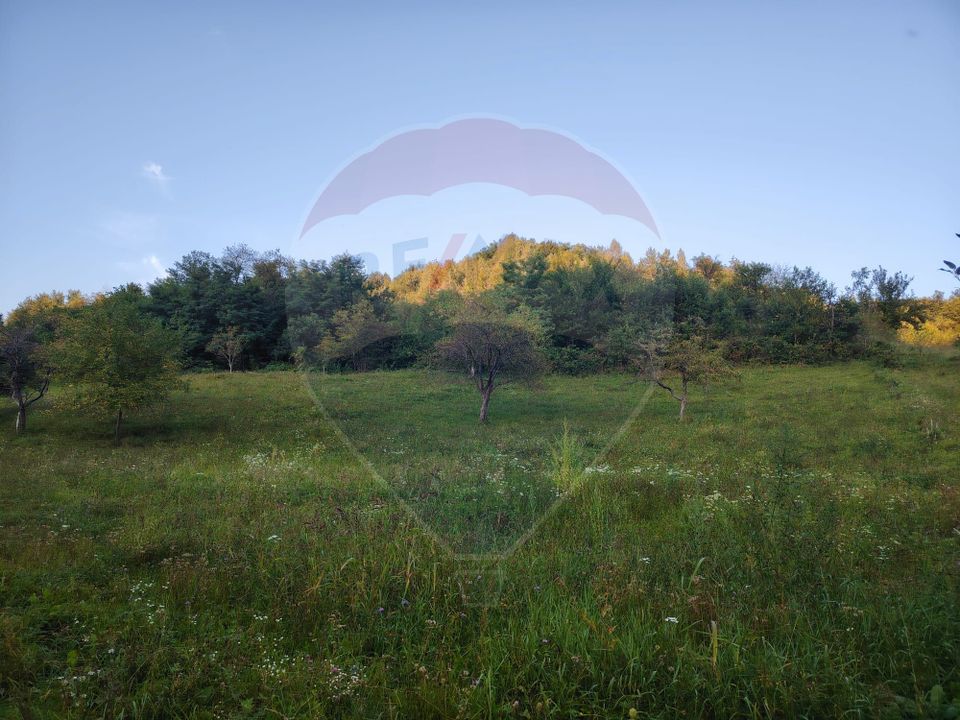 Land 2,339sqm Barsana / Strada Principala