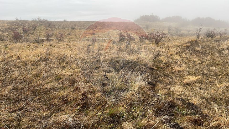 Land 544sqm Padureni (Chinteni) / Strada Principala