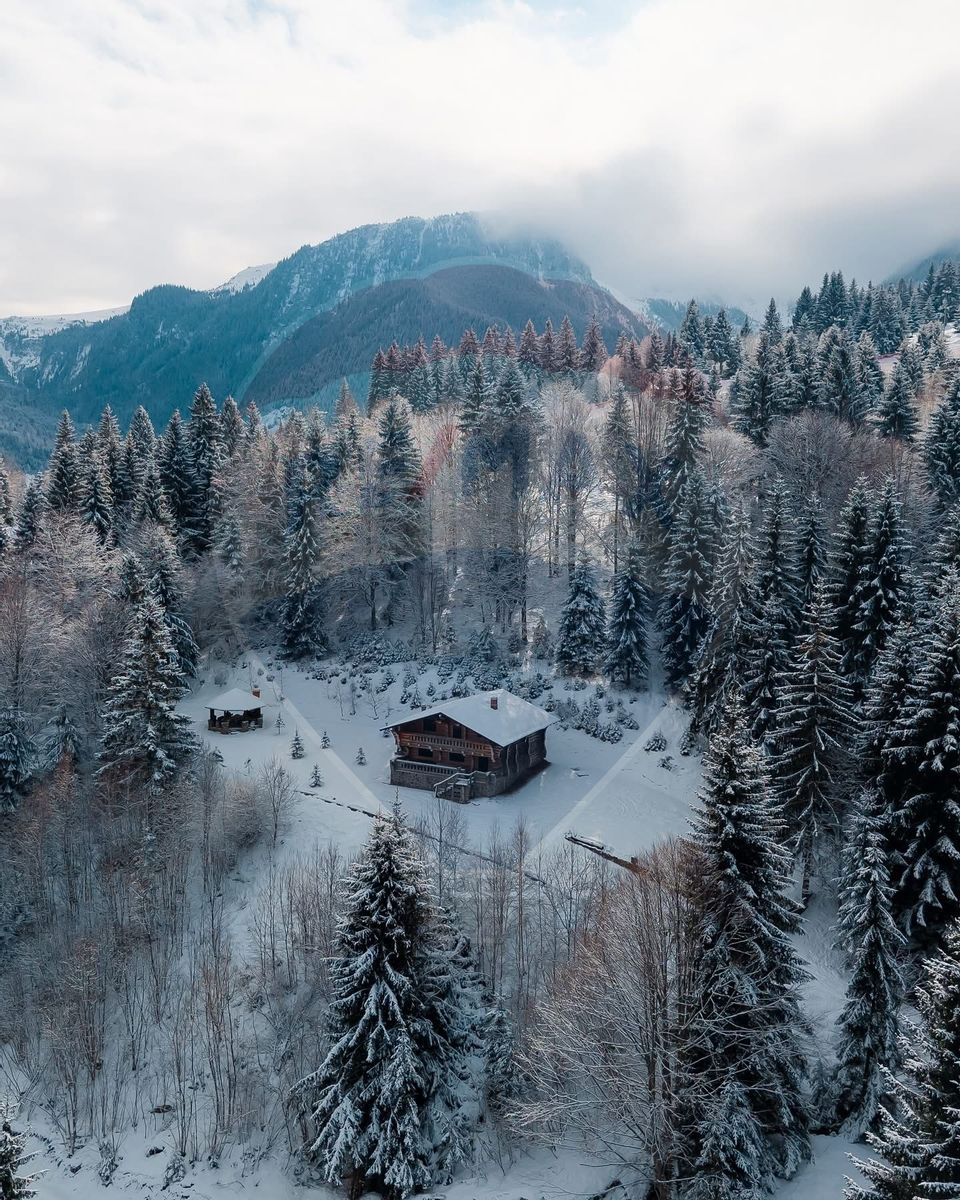 Cabană în inima munților,acces la pârtia de schi din Borșa,teren2200mp