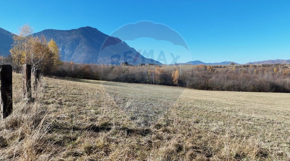 Land 17,100sqm Zarnesti / Strada Tohanita