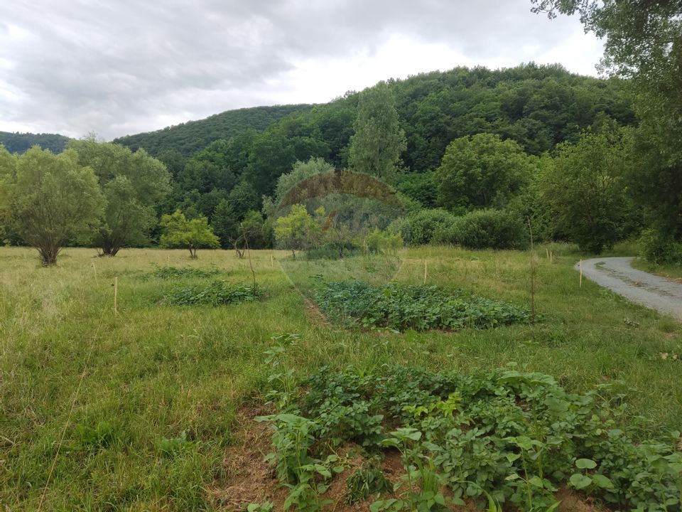 Land 2,700sqm Copalnic / Strada principala