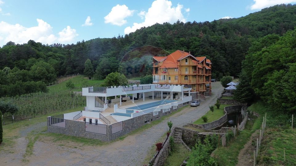 3,000sq.m Proprietate specială for sale