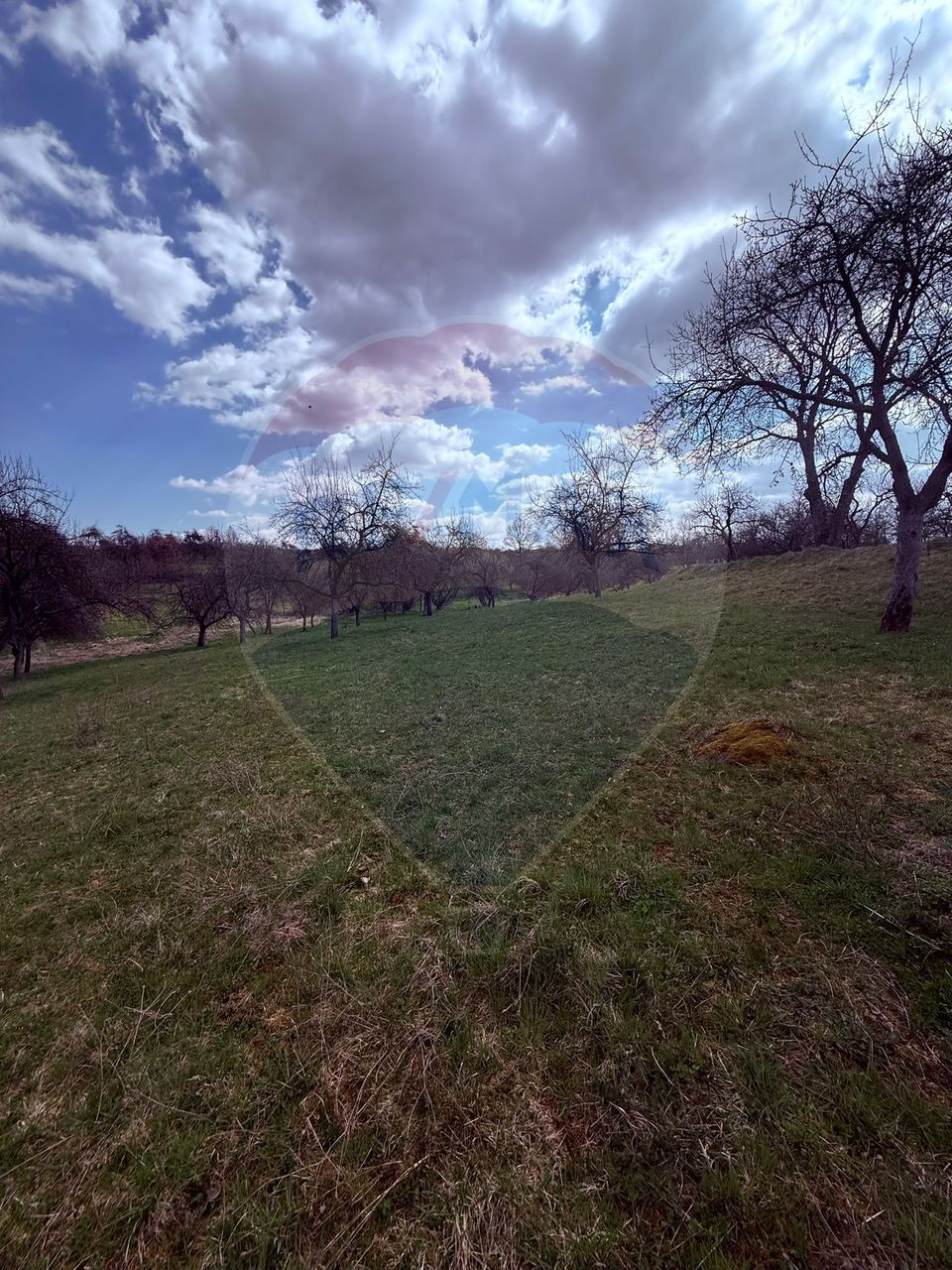 Teren 6,377mp Harnicesti / Strada Principala