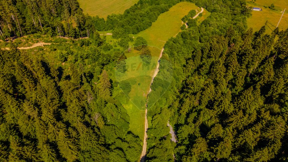 Land 13,300sqm Sacele / Soseaua Valea Doftanei