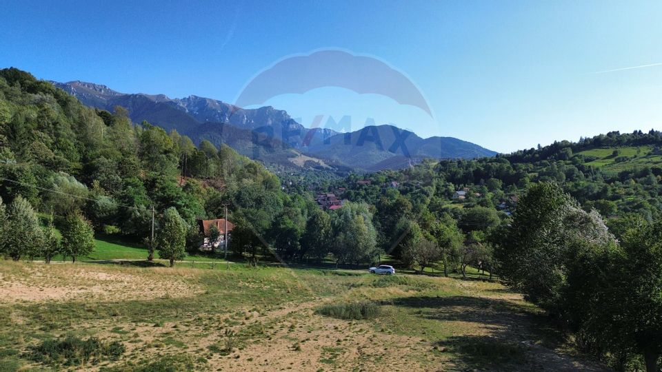 Land 5,174sqm Bran / Strada Colibasilor