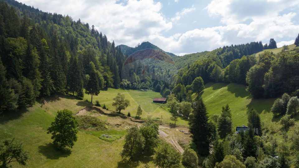 Teren 2.891 mp Șimon – Bran | Poziție rară, potențial turistic