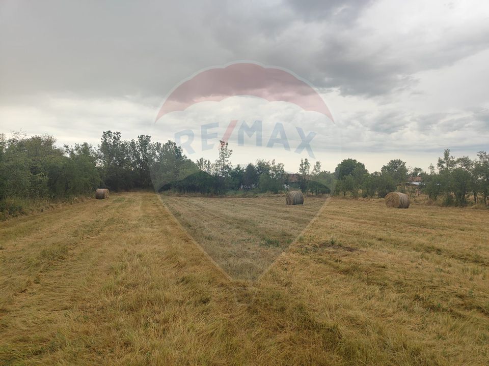 Casa de vanzare in Sinersig