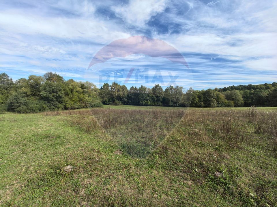 Teren 5,600mp Finteusu Mic / Strada Principala