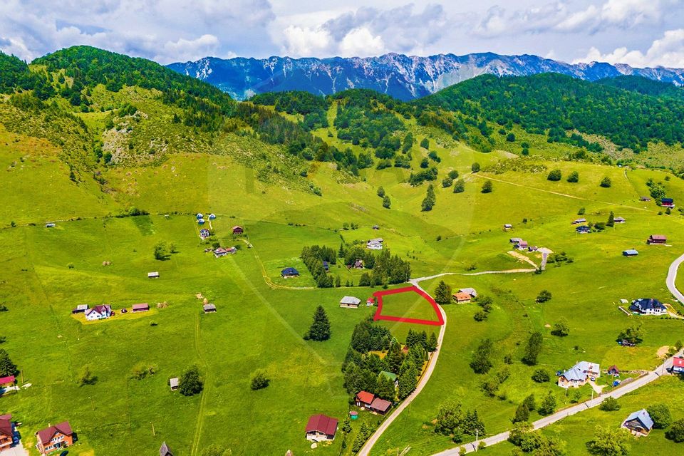 Land 2,687sqm Sirnea / Strada Principala