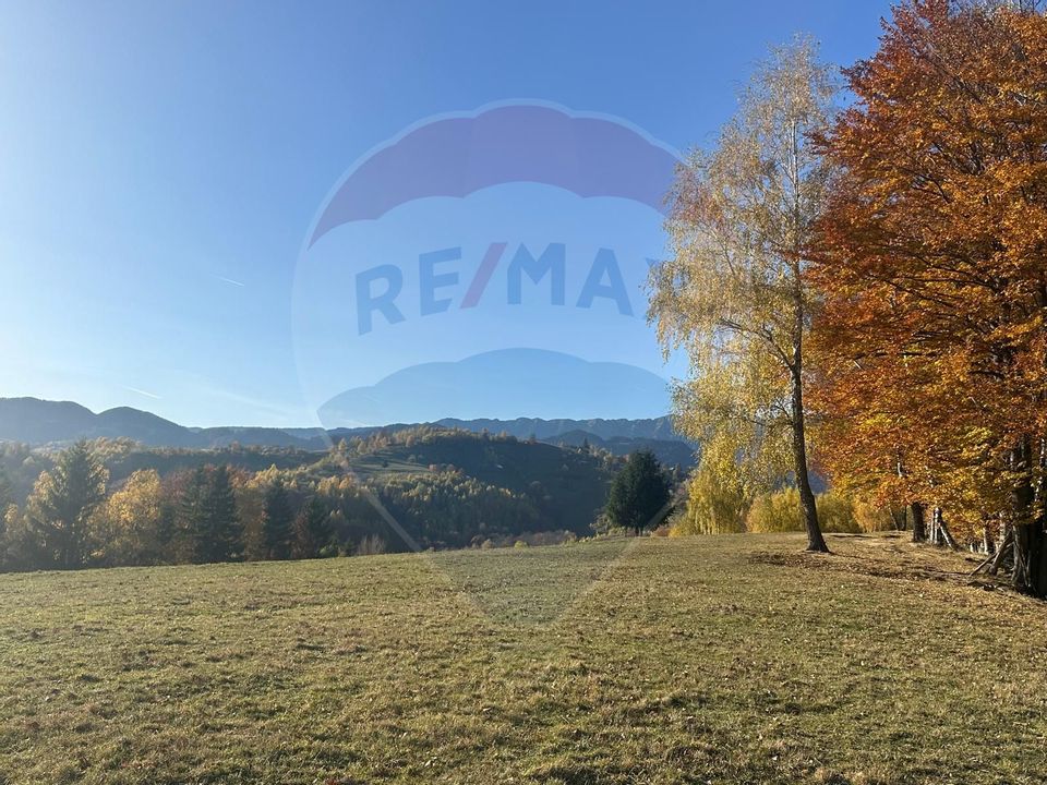 Investment opportunity ! Dream land in Pestera - 125,370 sqm