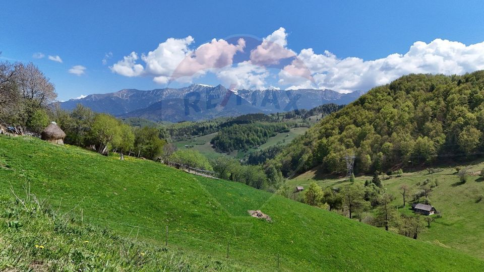 Land 5,694sqm Moieciu / Drumul Drumul Carului