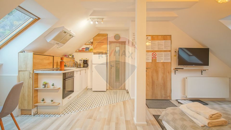 Casa cu 5 studiouri independente, terasa rooftop, vedere montana