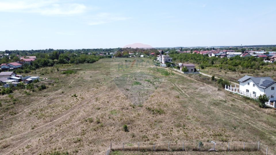 Land 40,000sqm Mogosoaia / Strada Teiului