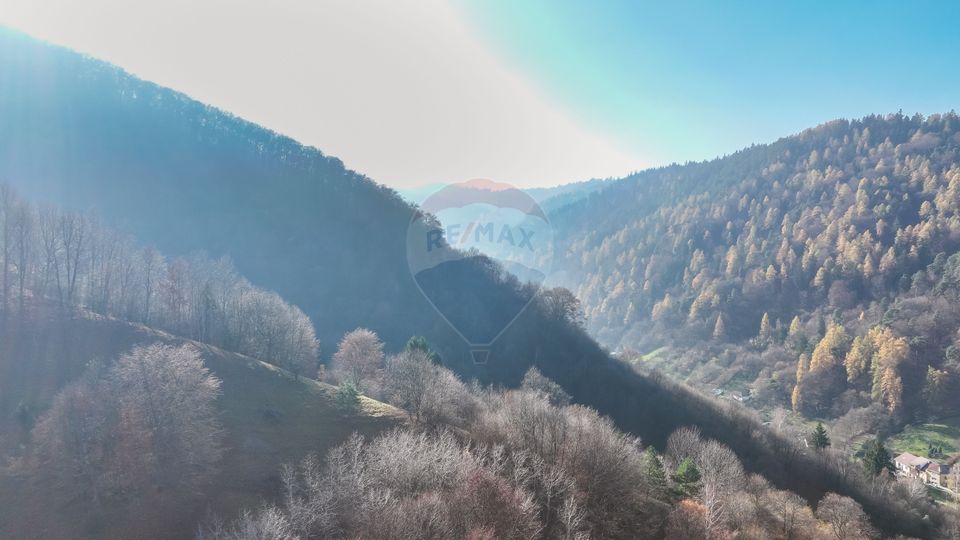 Hillside Panorama Estate – 17,684 sqm in Schei, Brașov