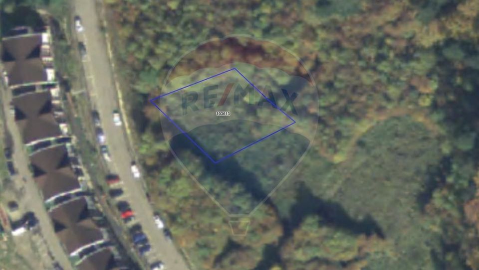 Land 1,000sqm Predeal / Strada Poiana Narciselor