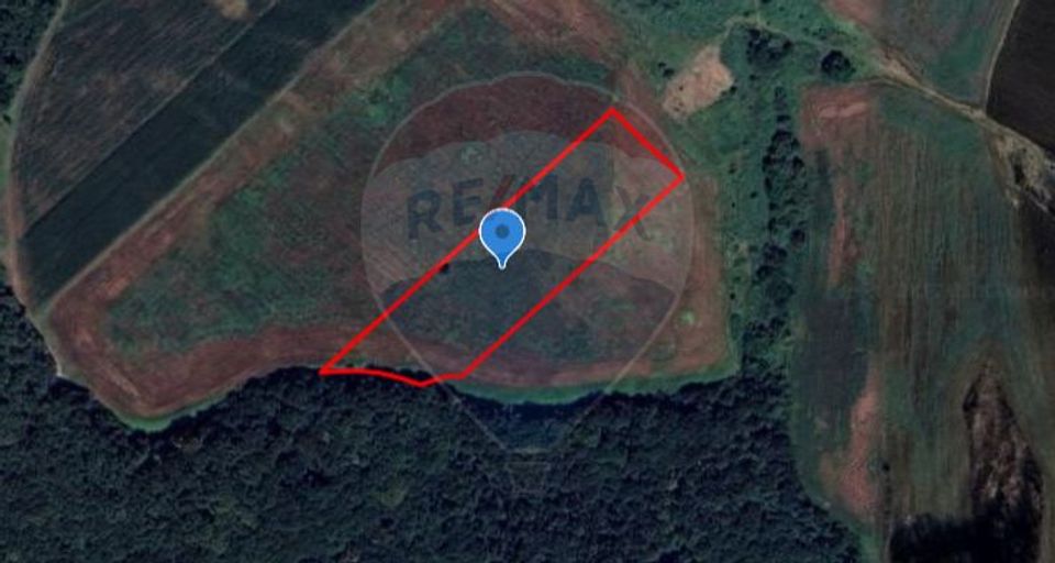 Teren 18,600mp Bazna / Prelungirea Principala