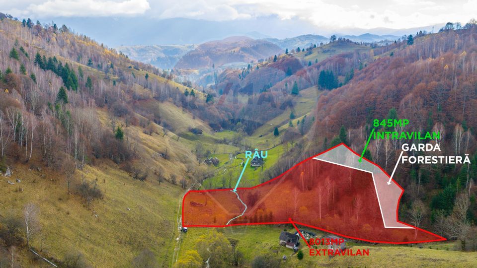 Land 8,013sqm Moieciu de Jos / Strada Valea Cu Calea