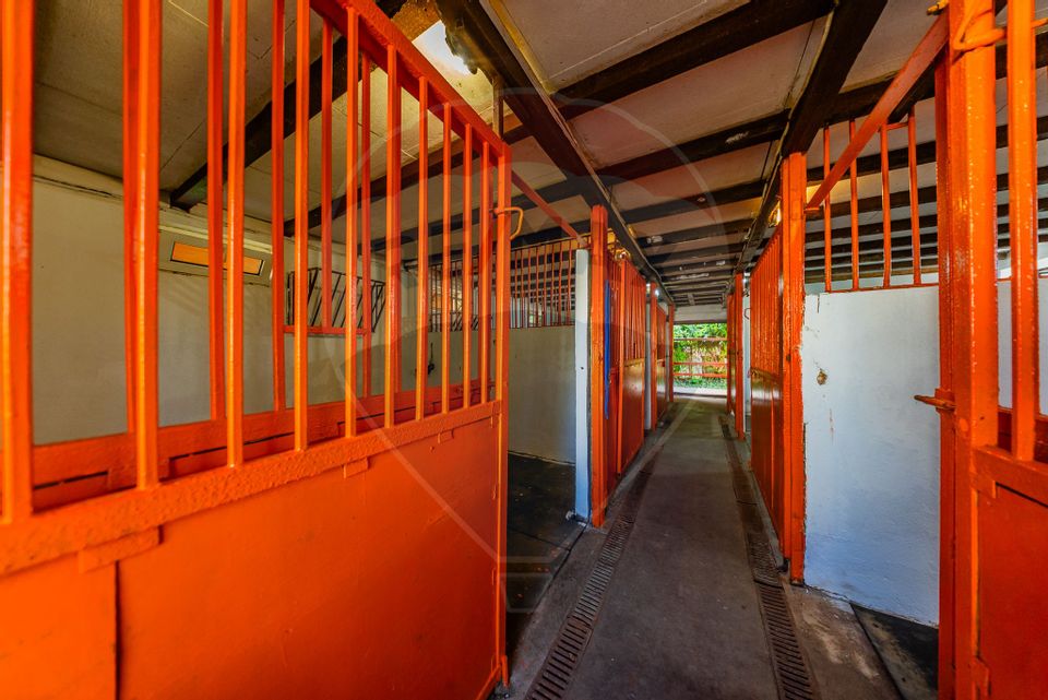 Land 4,000sqm Zadareni / Drumul Drumul principal