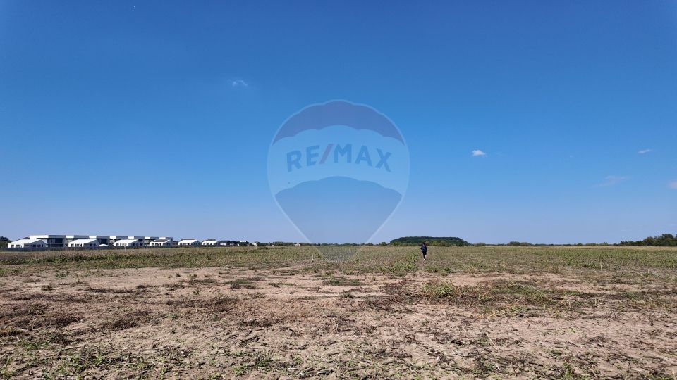 Land 1,100sqm Corbeanca / Strada Margaritarului