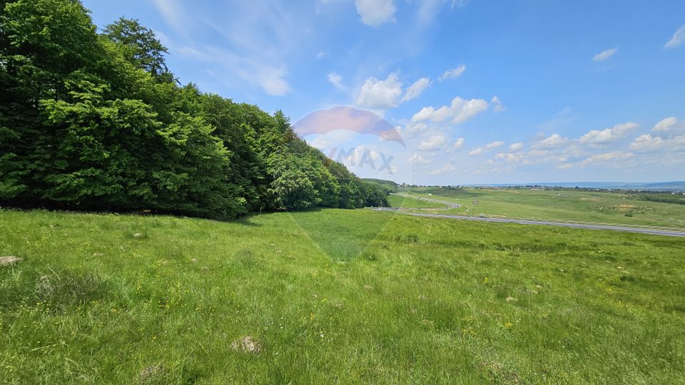 Teren Ilisesti  7000mp extravilan/ DN 17, Suceava