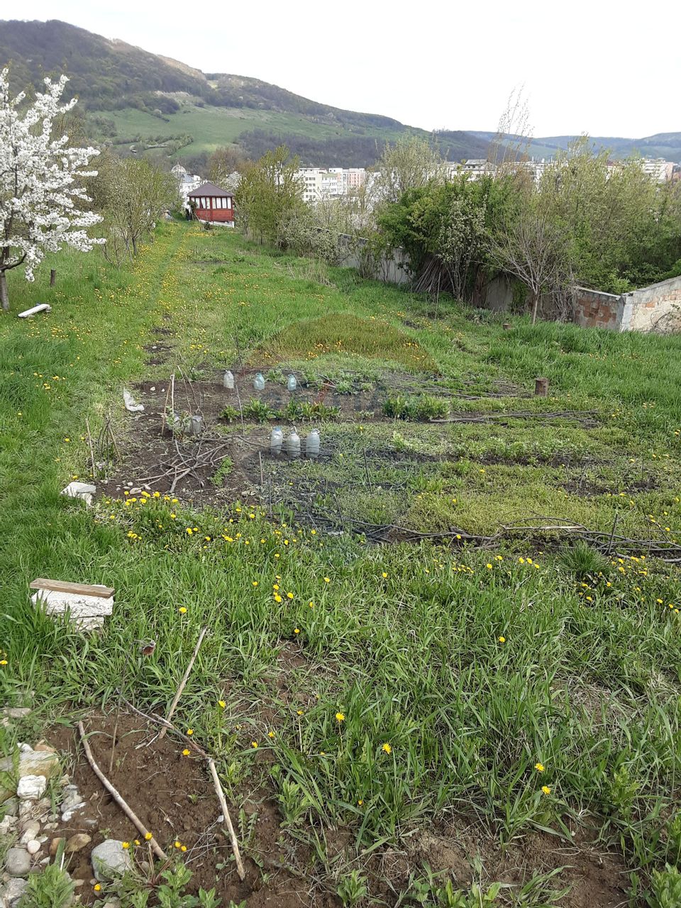 Teren 1,500mp Piatra-Neamt / Aleea Valea alba