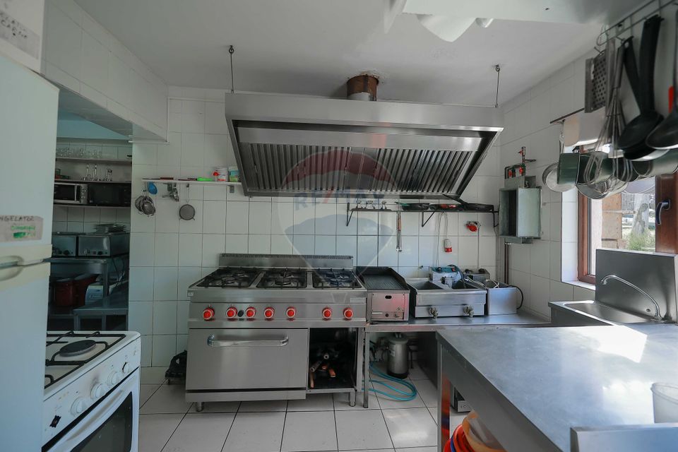 10 room Hotel / Pension for sale, Nord-Vest area