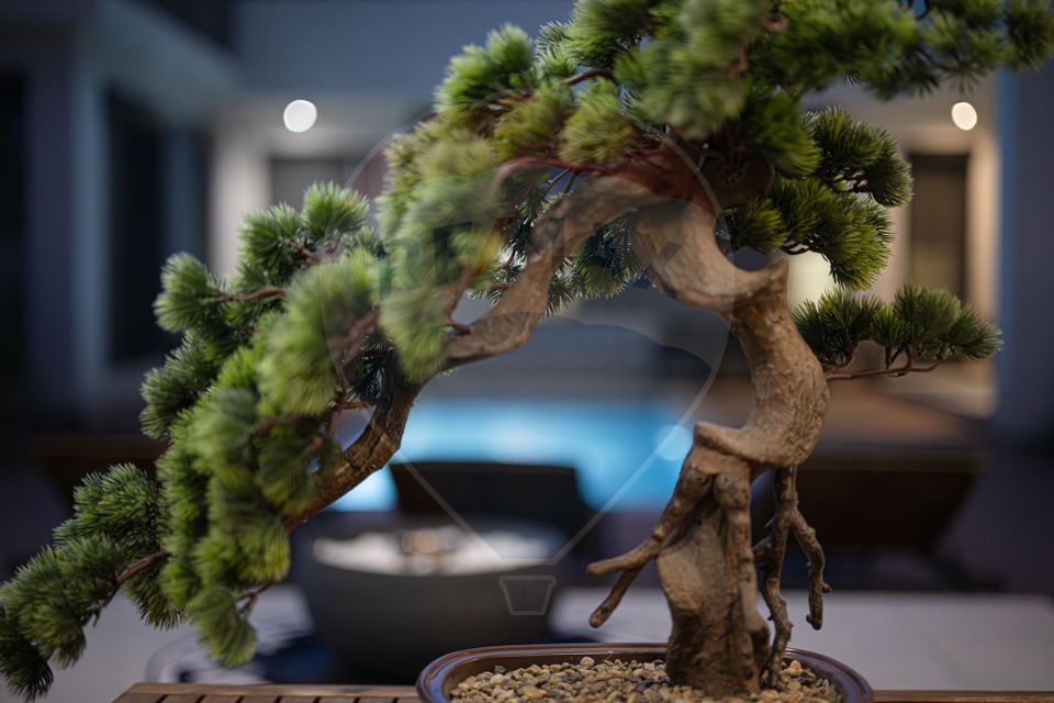 Casa PREMIUM de vanzare judetul Constanta