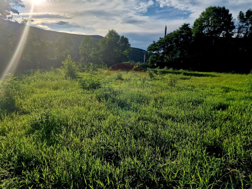 Teren 1,749mp Piatra-Neamt / Strada Zambilelor