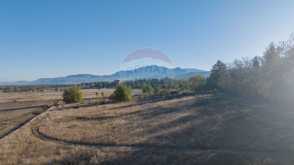 Comision 0% Teren de vânzare, zona Bran - Sohodol, 4000mp, parcelabil!