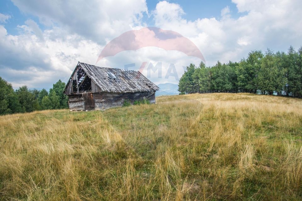 Teren extravilan Moieciu 45316mp