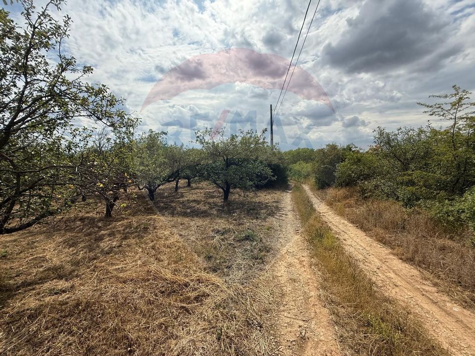 De vânzare Teren 3995mp intravilan Săldabagiu de Munte