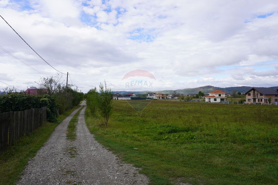 Teren 6,458mp Sighetu Marmatiei / Strada Doboies