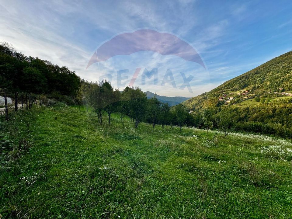 Teren 1812 mp de vânzare | Muntele Rece, cadru liniștit, Comision 0%