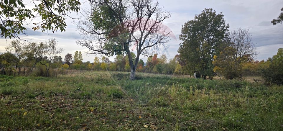 Teren generos cu potential în comuna Silindia, judetul Arad