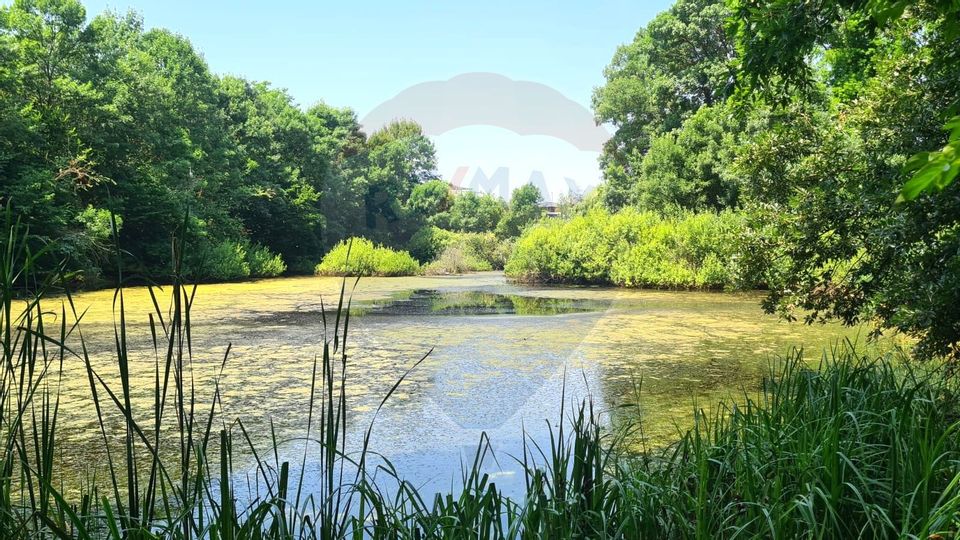 Casa  Vila cu 4 camere de inchiriat Cernica langa padure