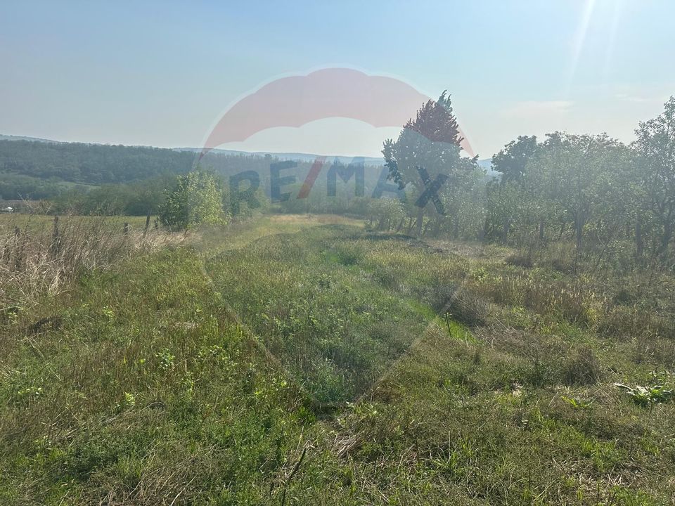 Casa batraneasca cu 4 camere in Bibiresti - Bacau de vânzare