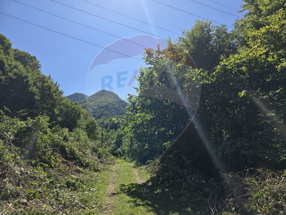 Teren 4,000mp Pascoaia / Soseaua Punctul Chiliilor