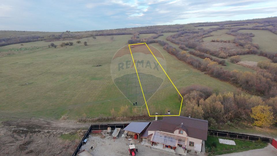 Teren 5.800 mp Purcareni curent, gaz, apă / Strada 30 decembrie