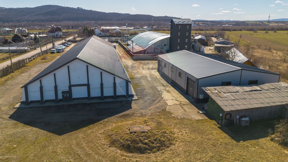 Hale industriale de închiriat în Tg Neamț