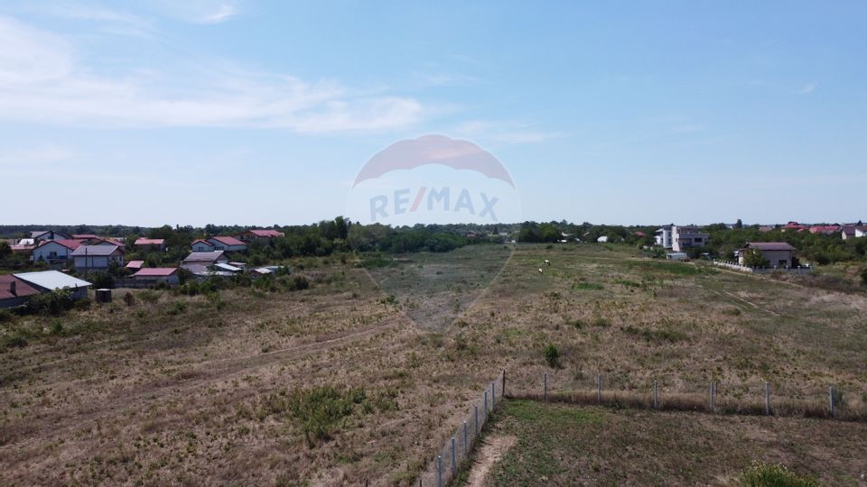 Land 40,000sqm Mogosoaia / Strada Teiului