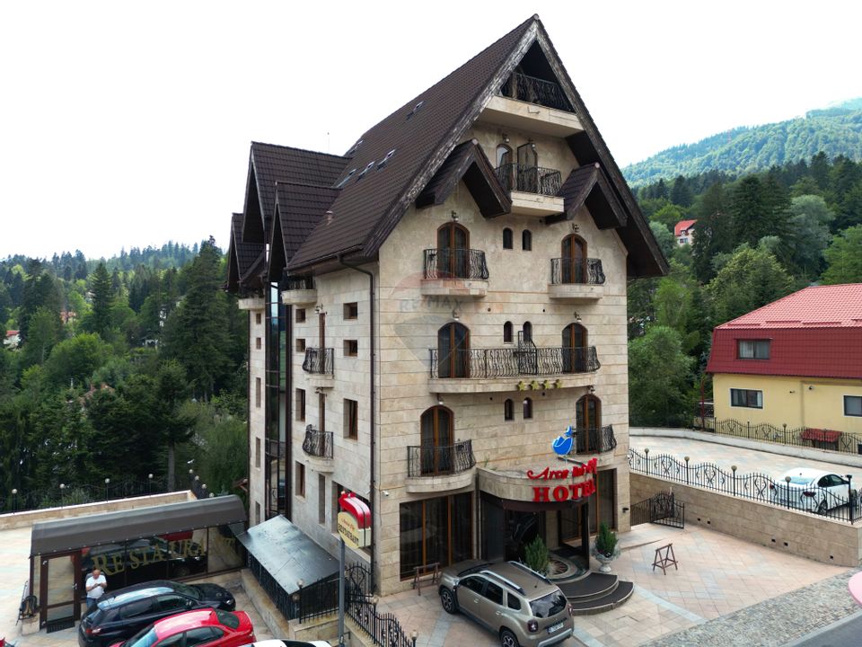 36 room Hotel / Pension for sale, Furnica area
