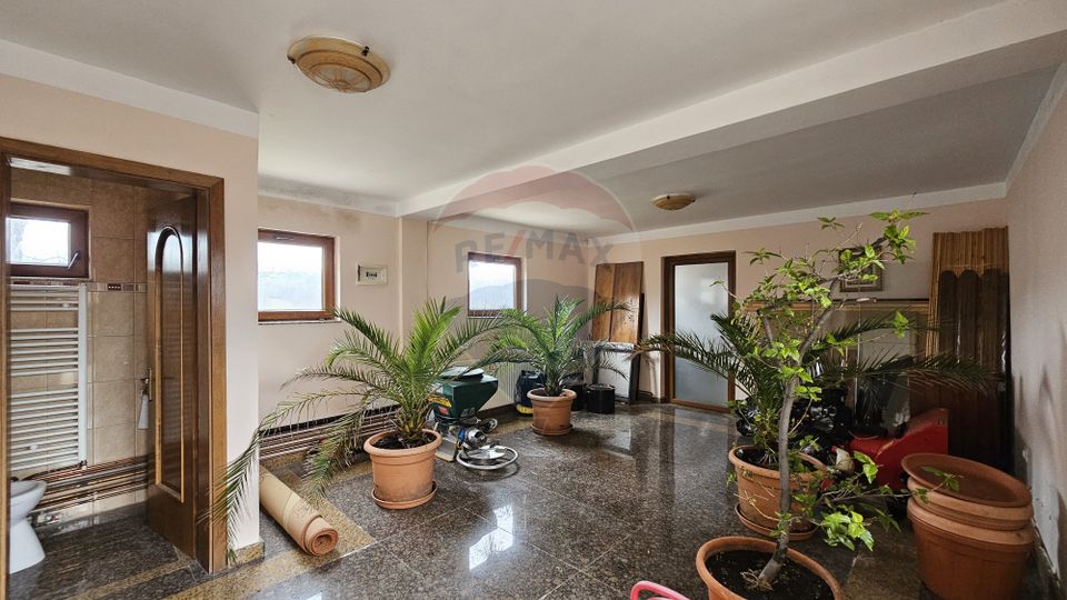 Casă de vânzare Bran Sohodol teren  intravilan 10.331 mp două locuințe