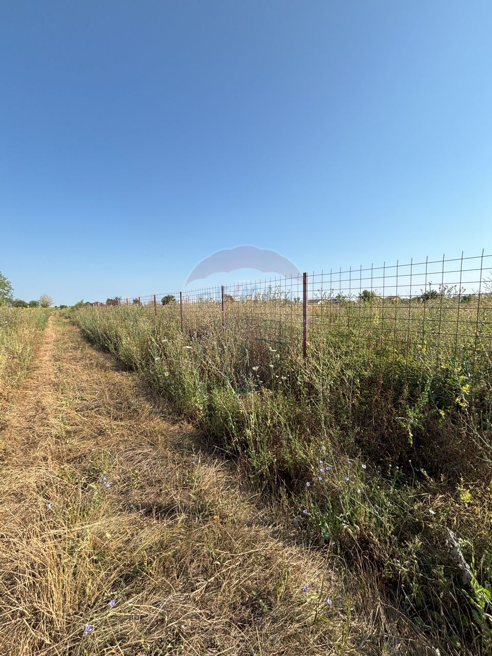 Teren Tartasesti langa complex Buna Ziua