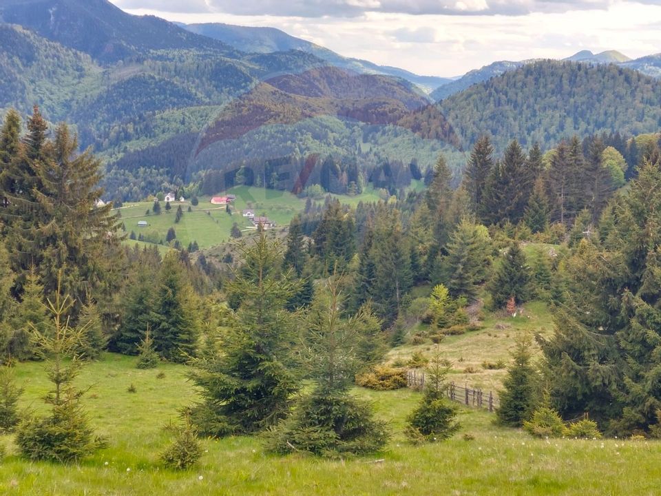 O fereastră către cer – teren de vis în Fundata, la poalele Bucegilor